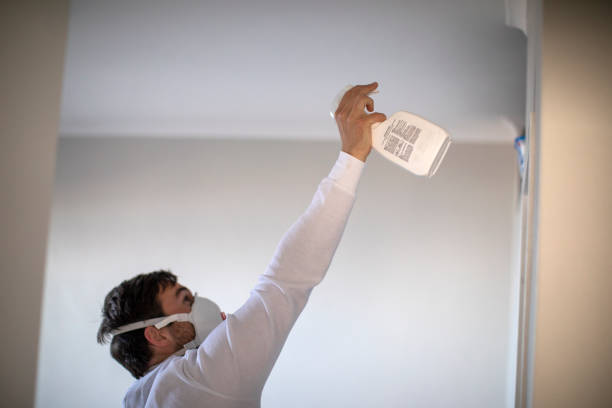 Best Mold Removal Near Me  in Charlotte Park, FL