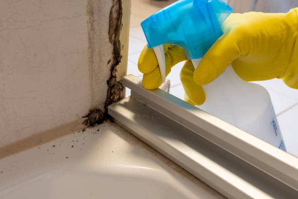 Water Damage Restoration in Charlotte Park, FL