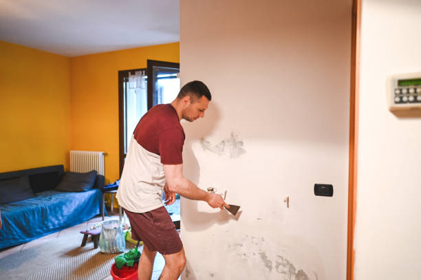 Mold Removal Process in Charlotte Park, FL